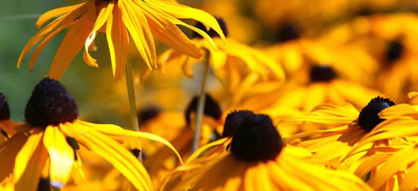 Arena Gloss Poster Collection | Wallhogs