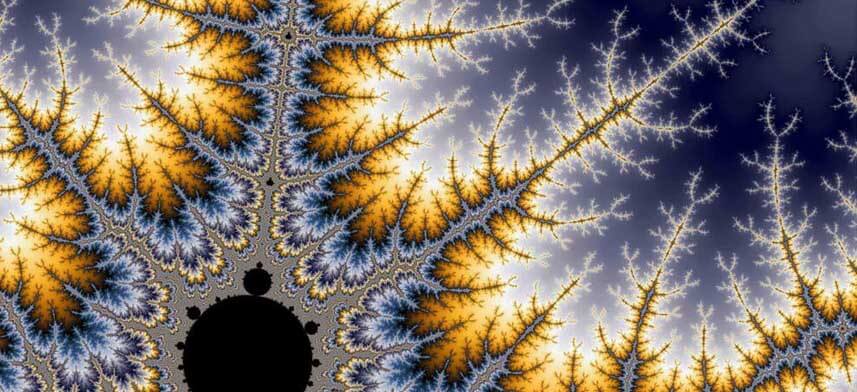 Backlund Gloss Poster Collection | Wallhogs