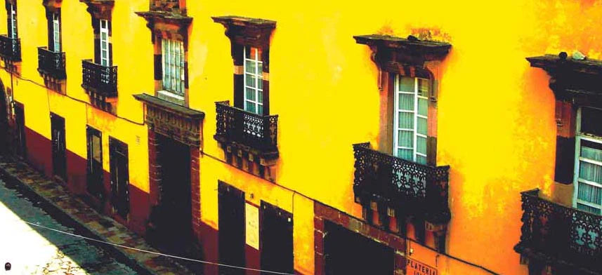 Warren Wall Decal Collection | Wallhogs