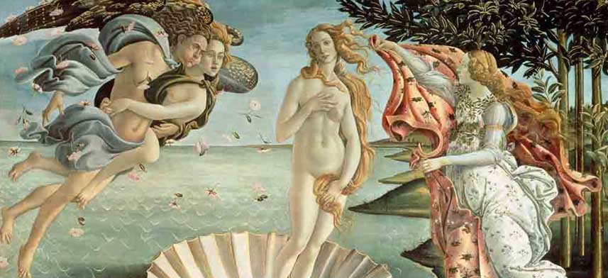 Sondra Botticelli Gallery Collection | Wallhogs