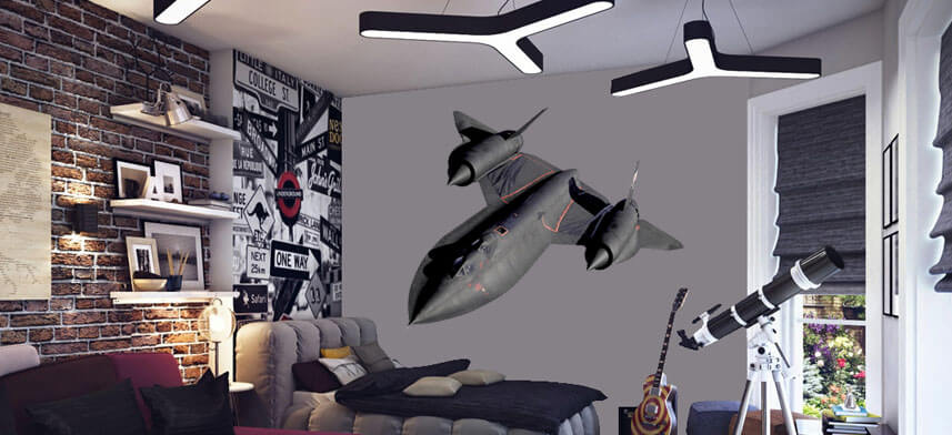 Aircraft Wall Decor Collection | Wallhogs