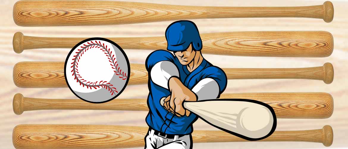 Baseball Wall Decor Collection | Wallhogs