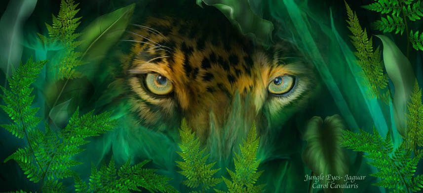 Carol Cavalaris Art Collection | Wallhogs