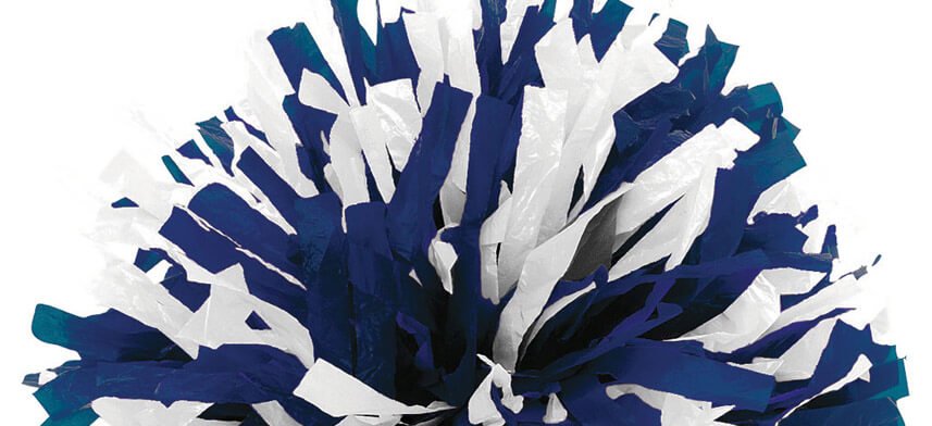 Cheerleading Wall Decor Collection | Wallhogs