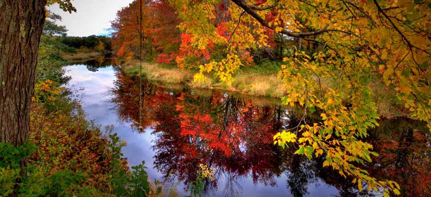 Fall Gallery Collection | Wallhogs