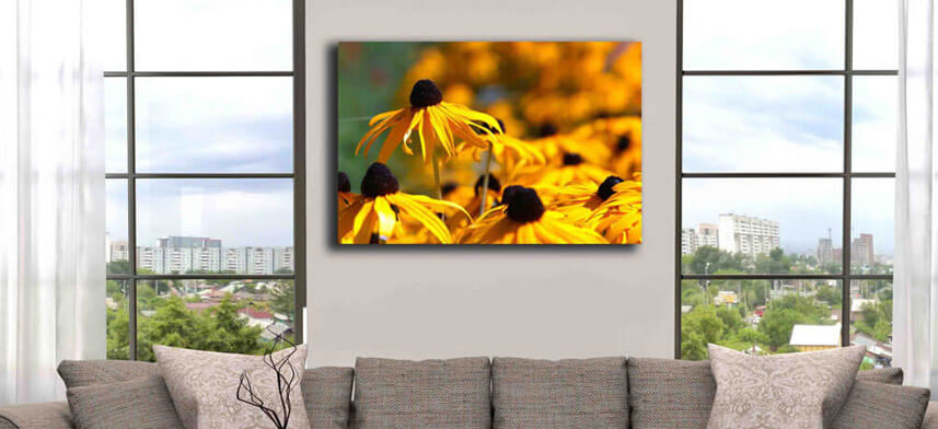 Gallery Wrapped Canvas Collection | Wallhogs
