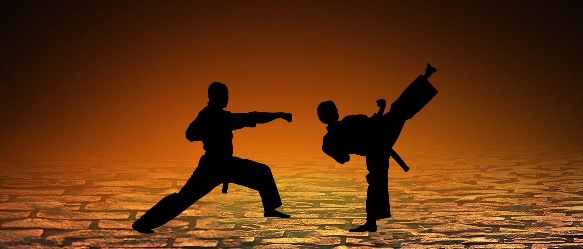 Martial Arts Wall Decor Collection | Wallhogs