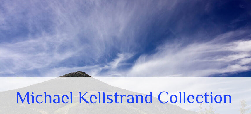 Micahel Kellstrand Wall Decor | Wallhogs