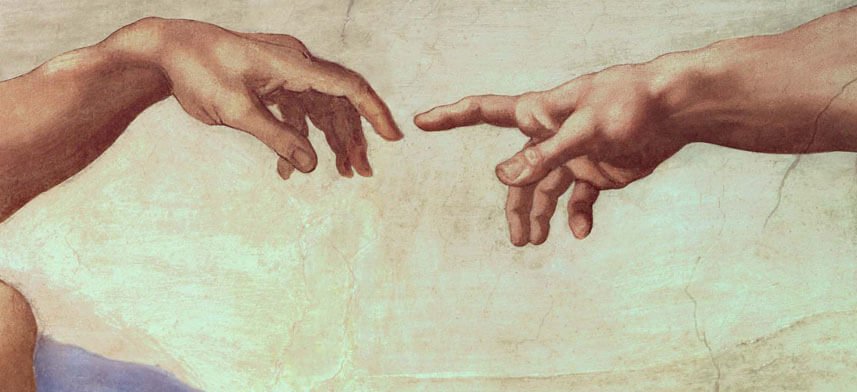 Michelangelo Art Collection | Wallhogs