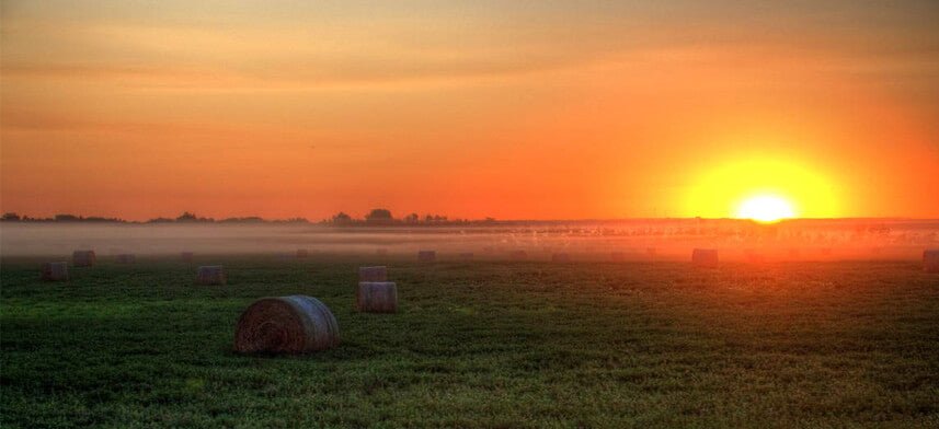 Sunrise & Sunset Wall Decor | Wallhogs