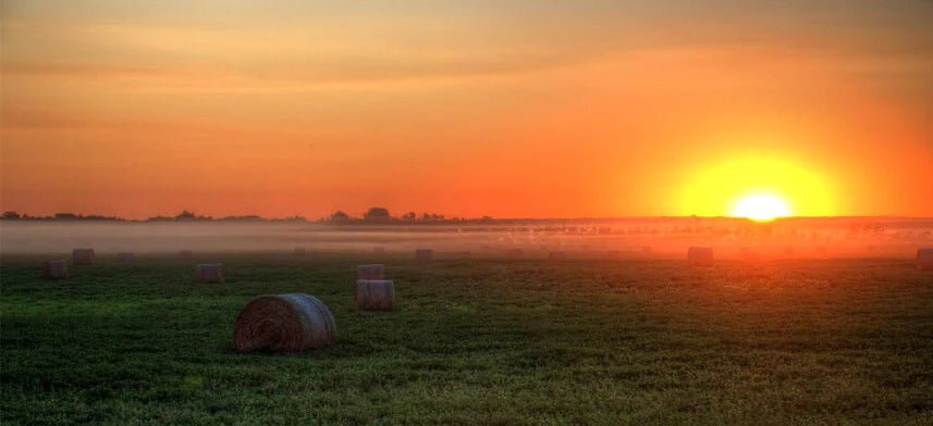 Sunrise & Sunset Wall Decal Collection