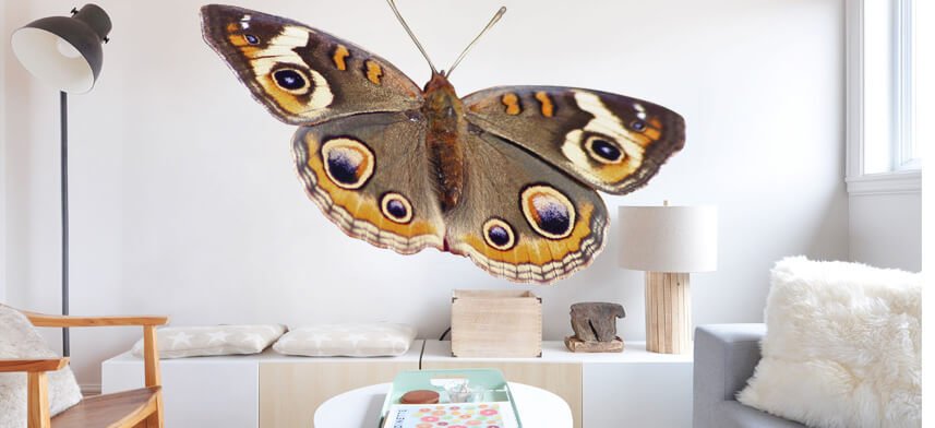Wall Decal Collection | Wallhogs