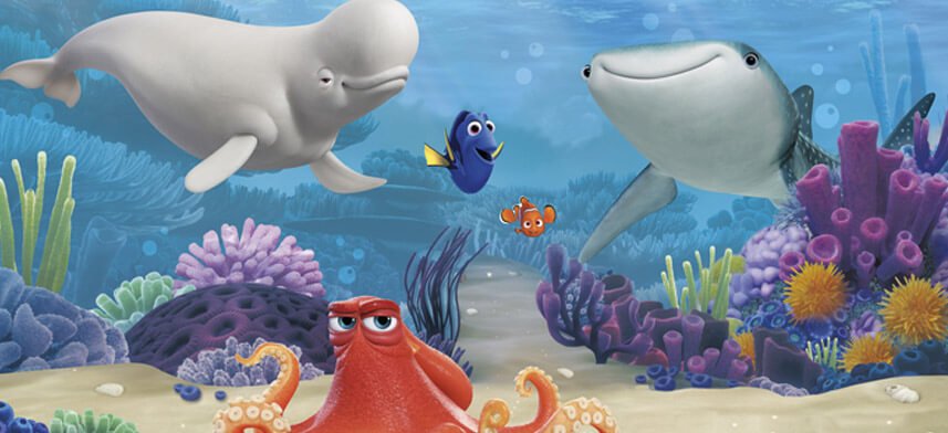 Wall Mural Collection | Wallhogs