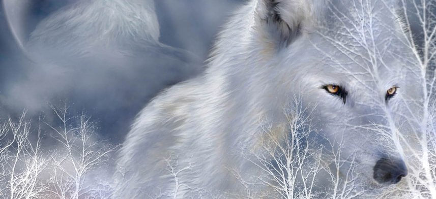 Wolf Wall Decor Collection | Wallhogs