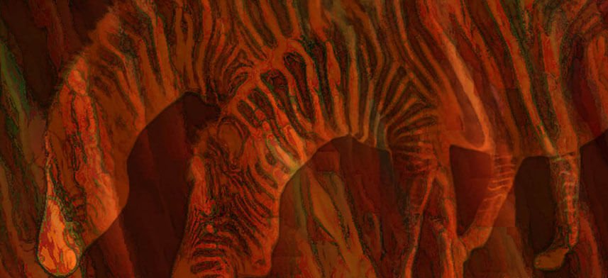 Zebra Wall Decor Collection | Wallhogs