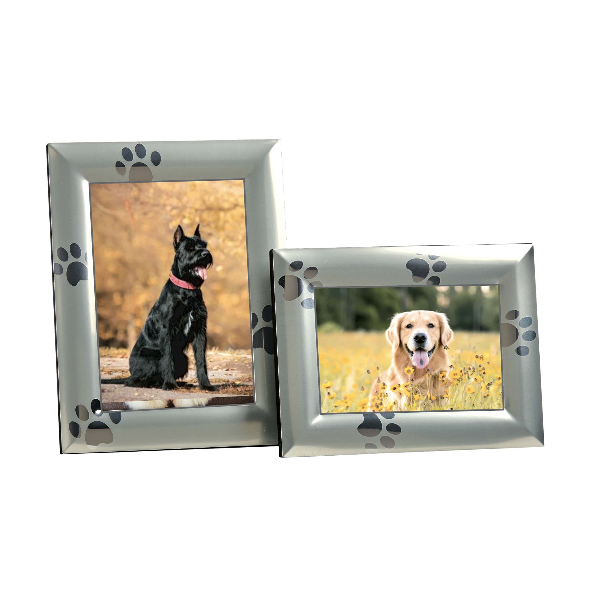 Paw Print Design Frame - 4x6-1