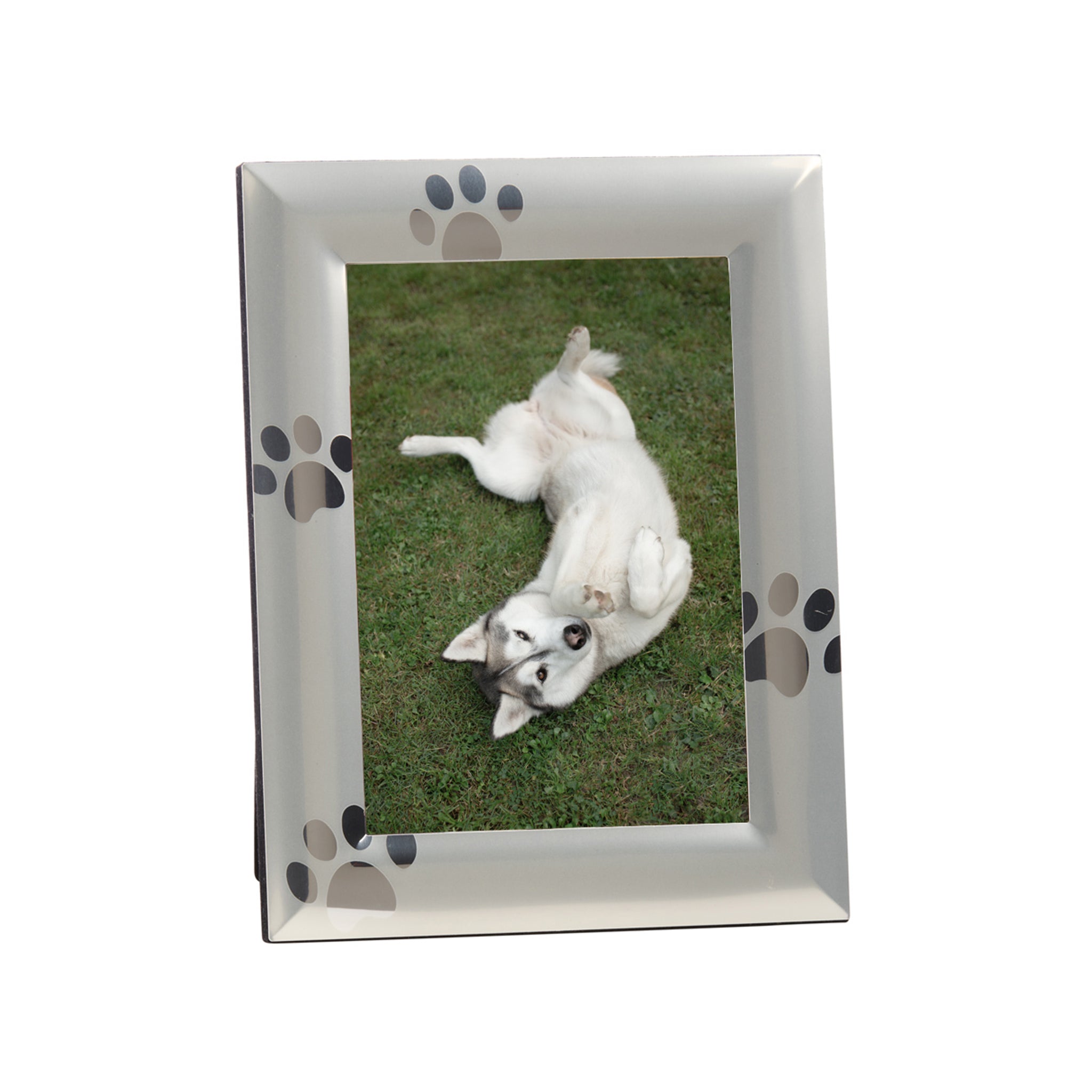 Paw Photo Frame Brushed Metal Paw Print Photo Frame 5x7 | Pet Picture Frame – Wallhogs
