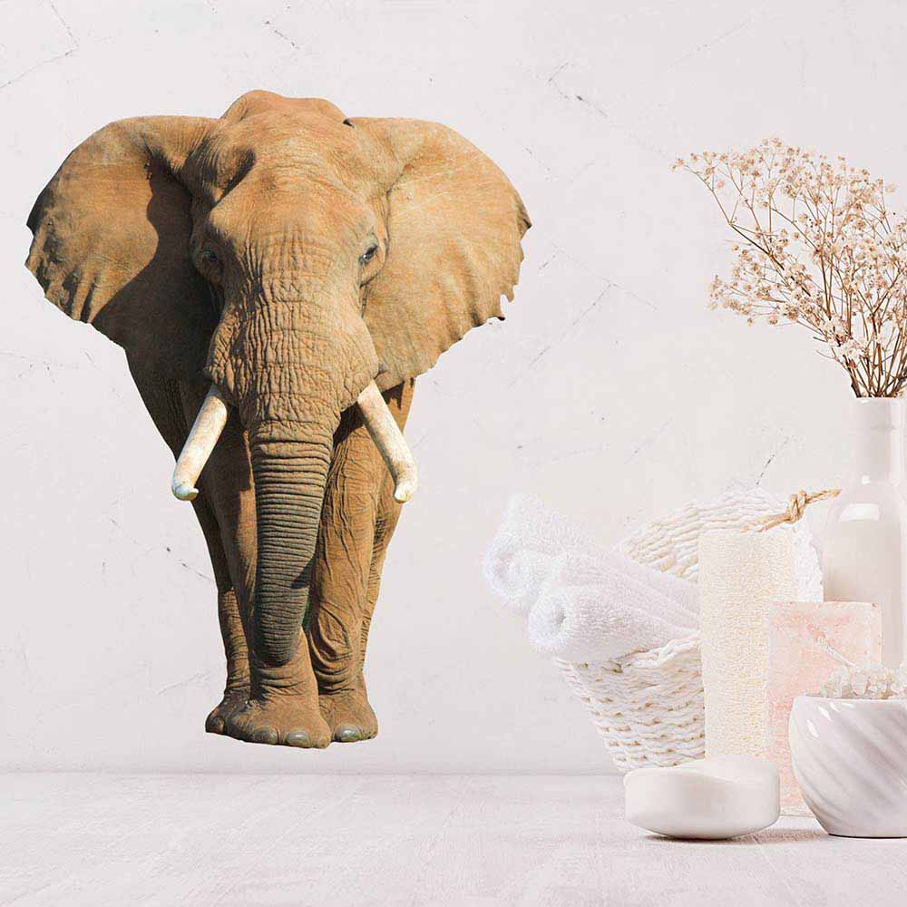 24 inch African Elephant Decal Installed in Bathroom