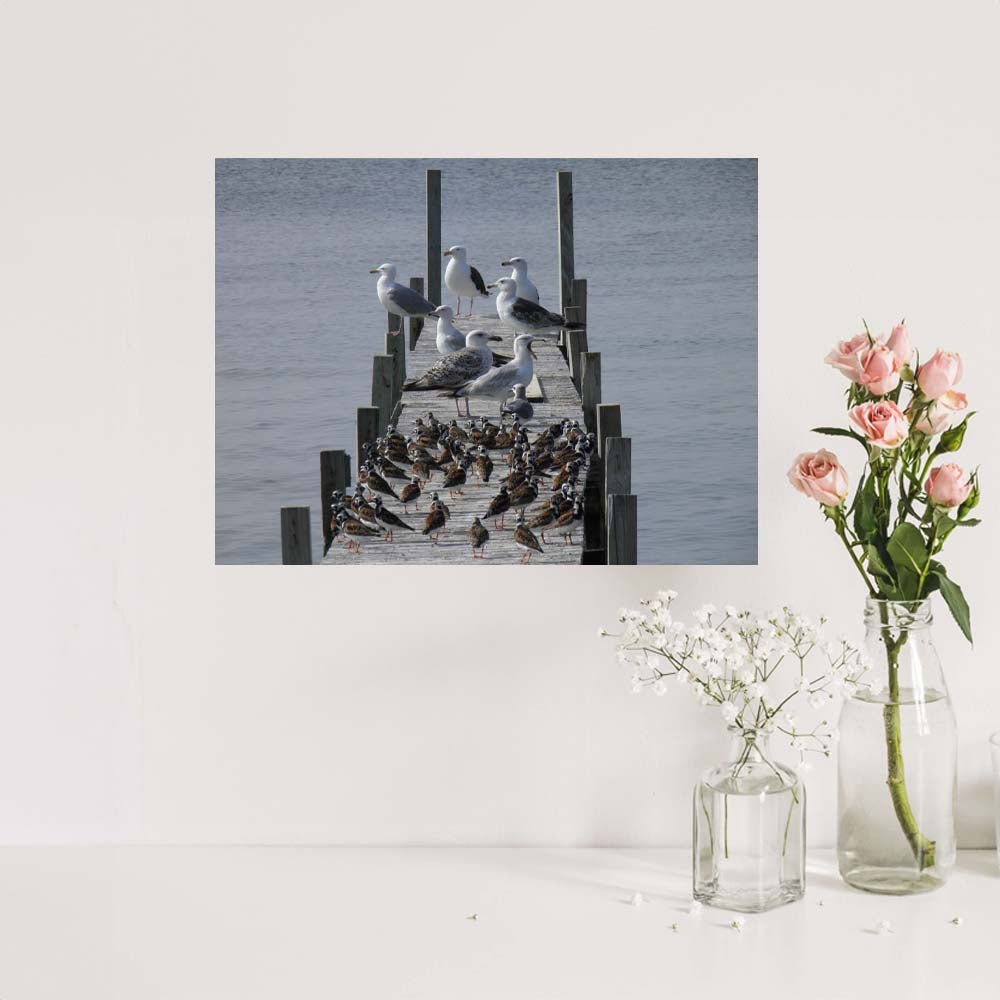 24 inch Birds on Dock Decal Installed Above Counter