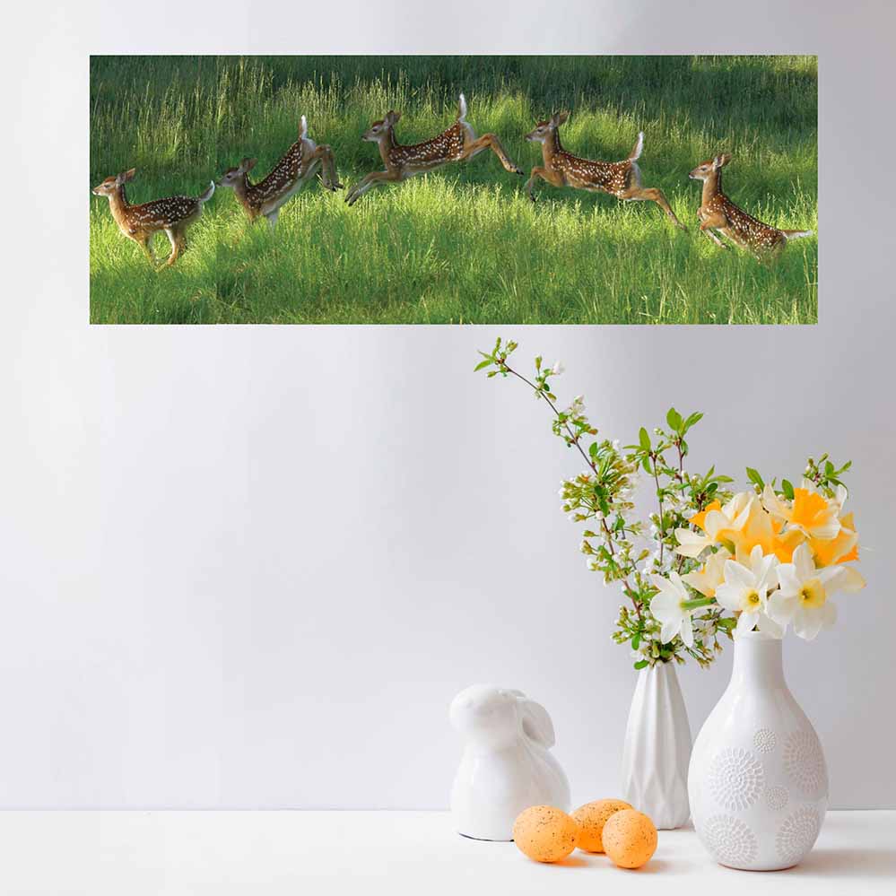 24 inch Poconos Fawn Jumping Panoramic Poster Installed Above Counter