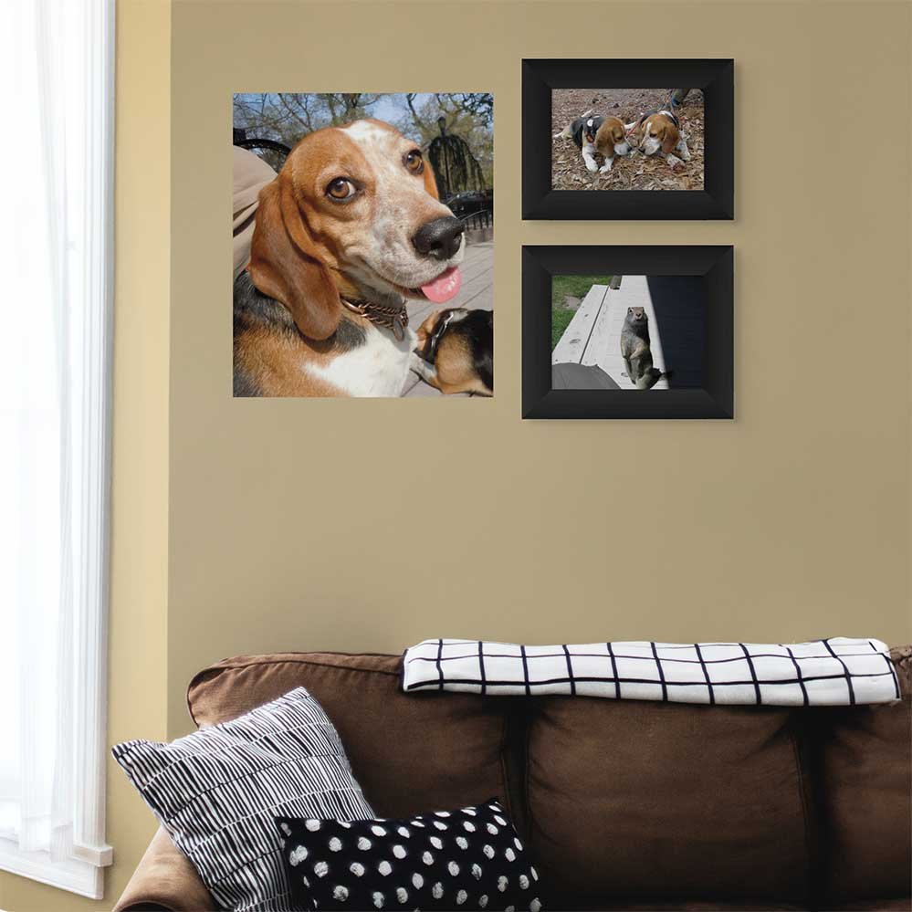 24 inch Smiling Beagle Poster Installed Above Couch