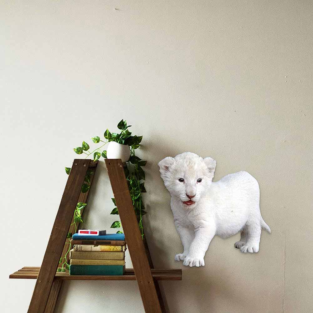 24 inch Baby Lion Cub Wall Decal Installed Next to Shelf