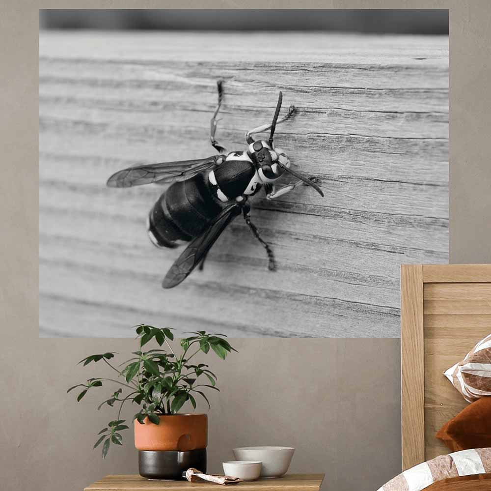 19x24 Bee Poster Displayed Over Nightstand