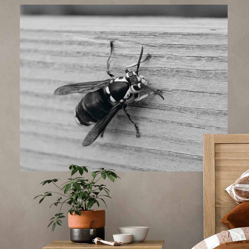 19x24 Bee Wall Decal Installed Above Nightstand