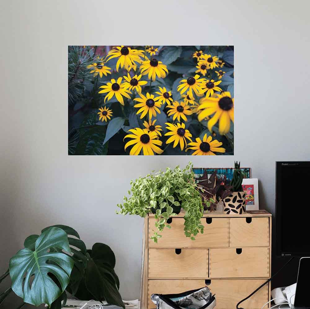 16x24 inch Bunch of Daisies Decal Installed Above Cabinet