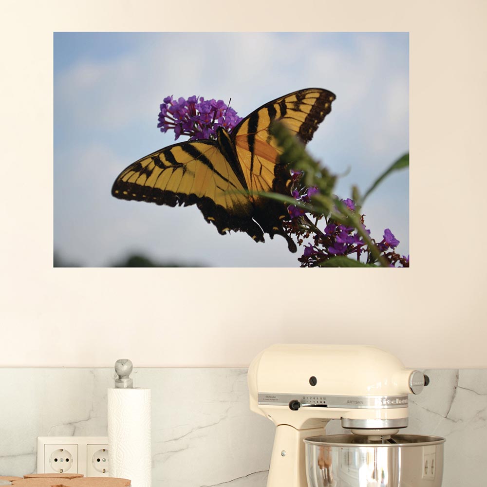 16x24 inch Butterfly Resting Poster Displayed in Kitchen