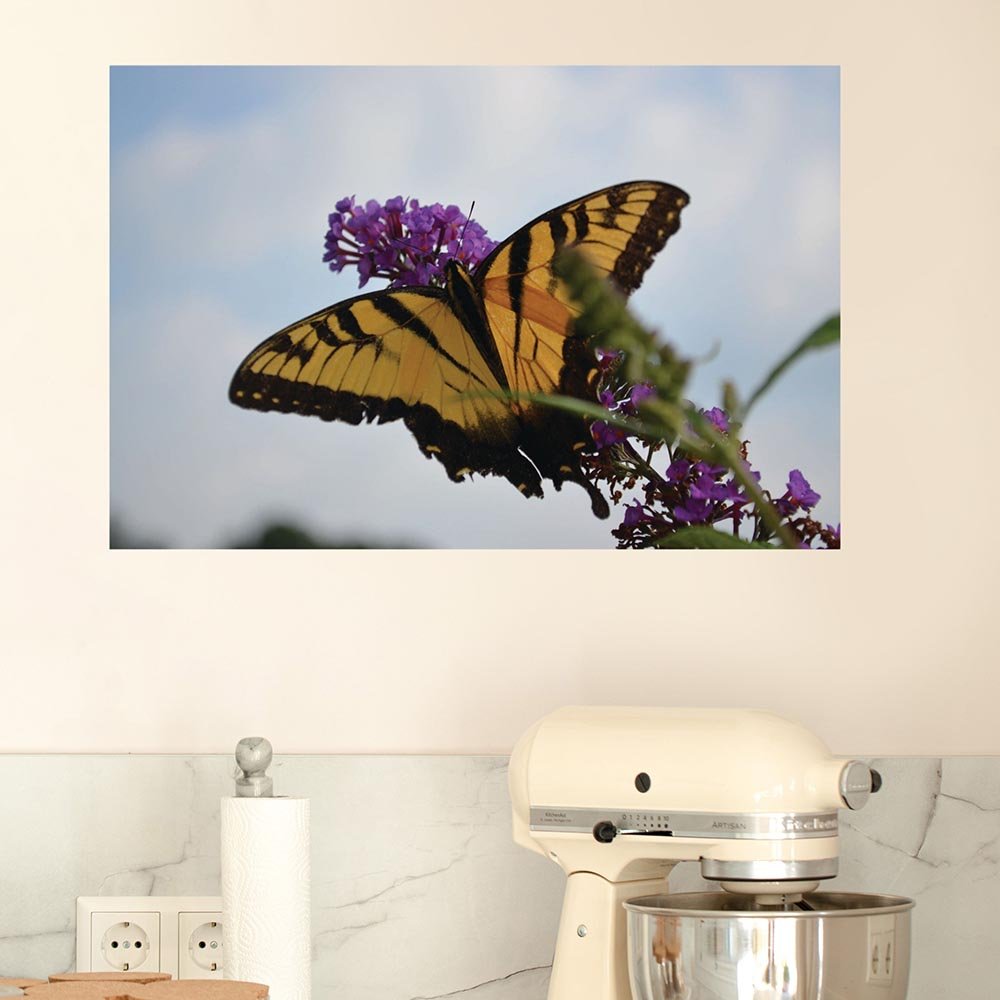 16x24 inch Butterfly Resting Decal Installed in Kitchen