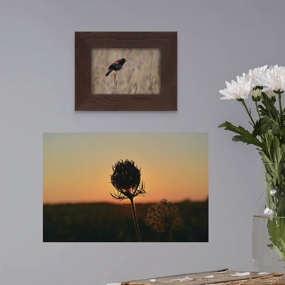 16x24 inch Sunset Flower Decal Installed on Wall
