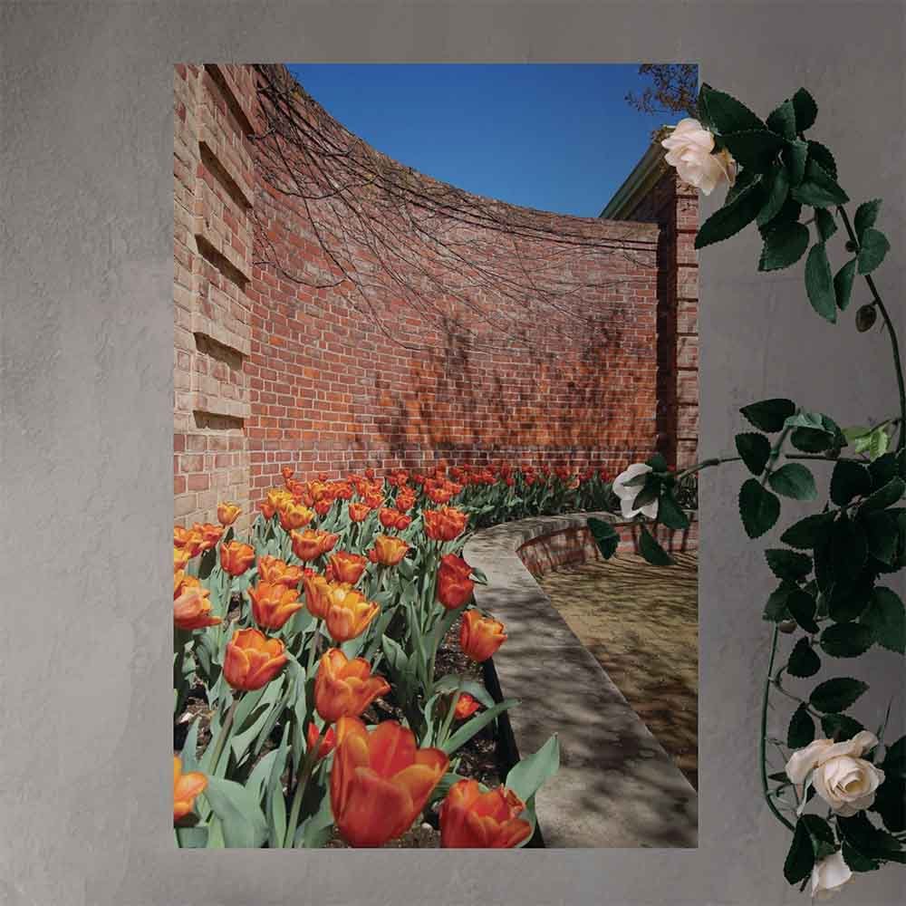 16x24 inch Wall II Poster Displayed on Wall