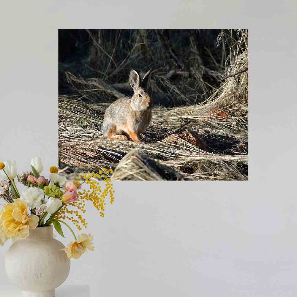19x24 inch Cottontail Poster Displayed Above Vase