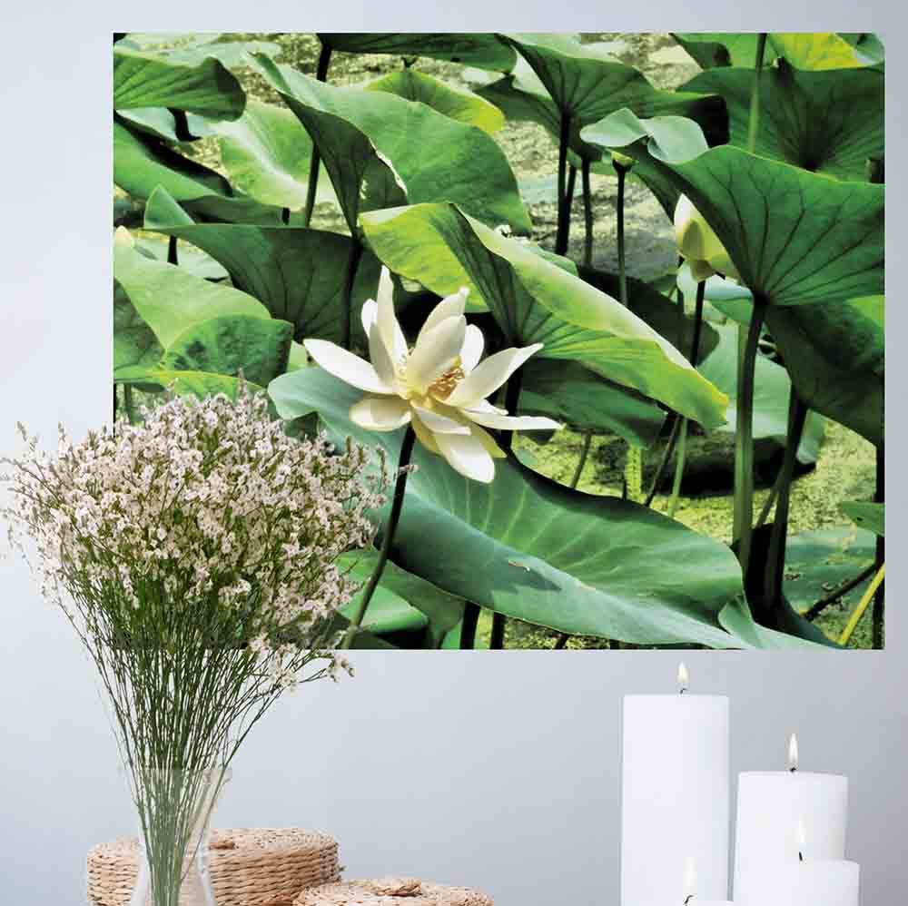 19x24 inch Pond Flower Decal Installed by Candles