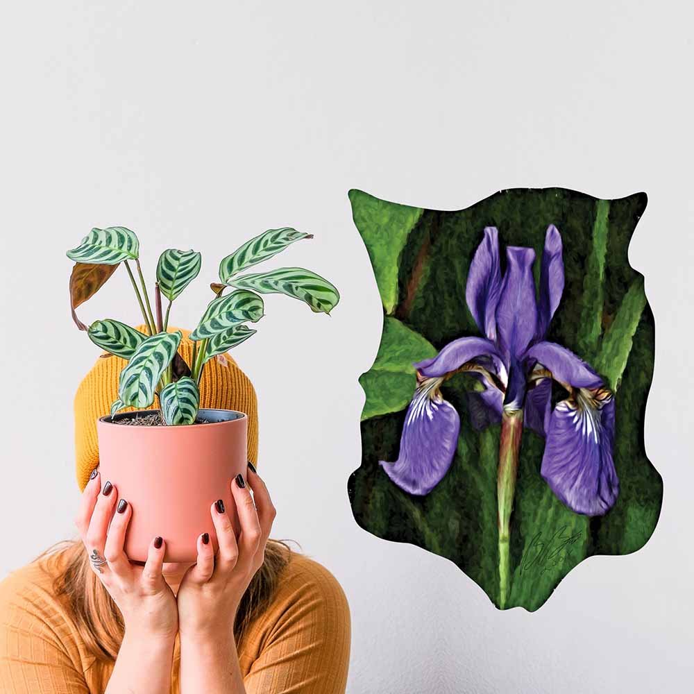 17.5x24 inch Purple Flower Decal Installed on Wall