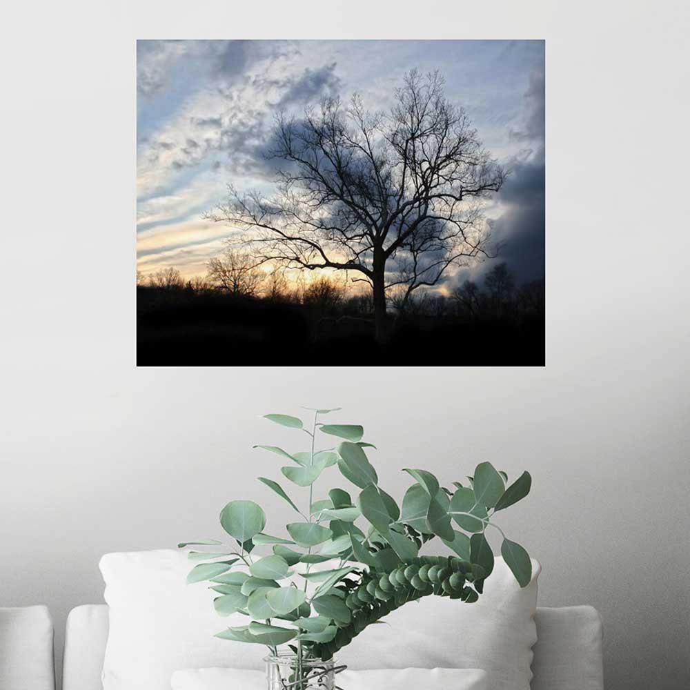 19x24 inch Sunset Tree Poster Displayed Above Chair