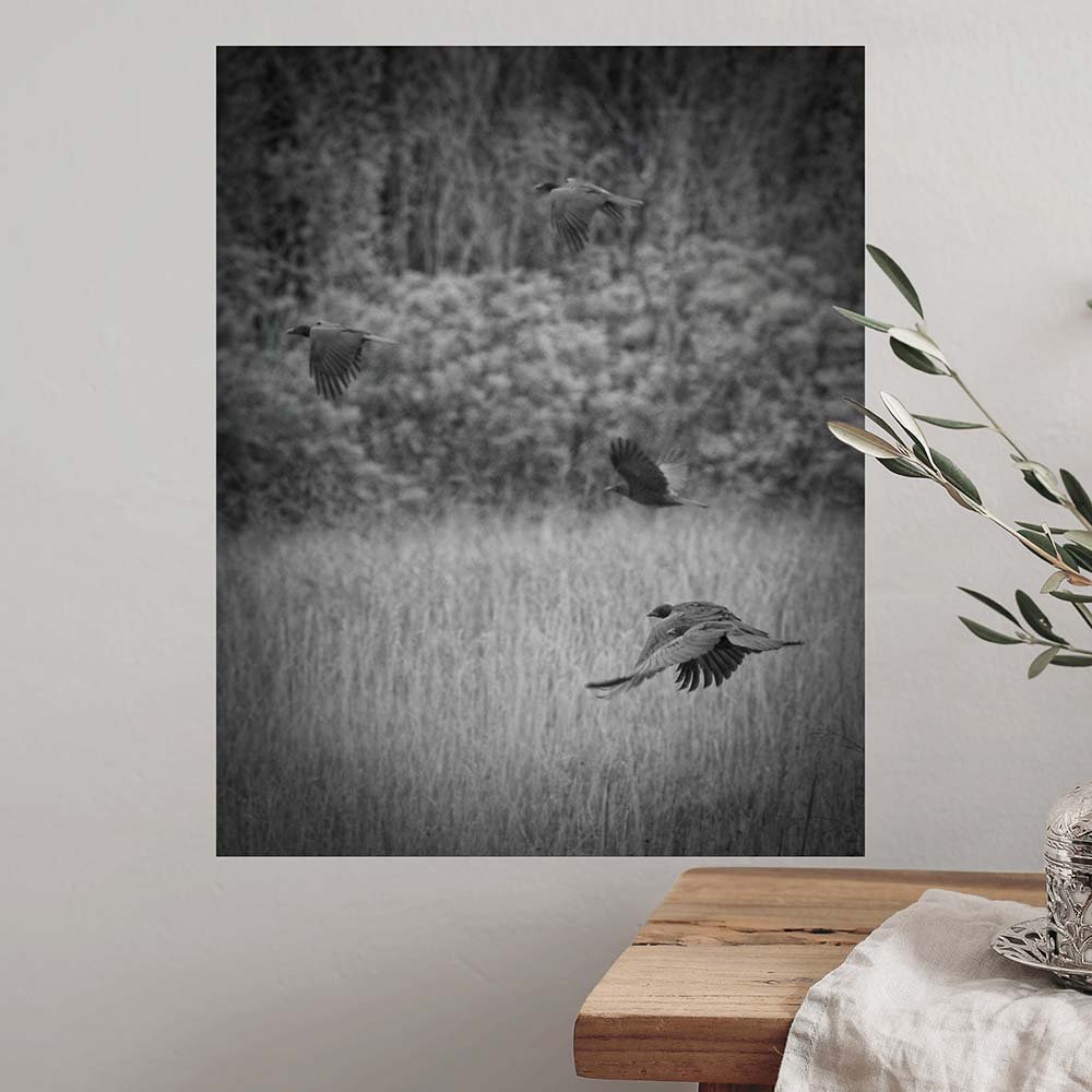 28.5x36 inch The Crows Decal Installed on Wall19x24 inch The Crows Decal Installed on Wall