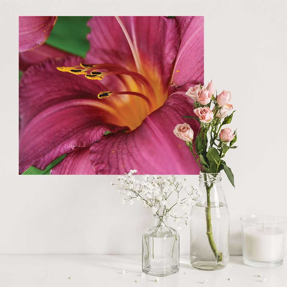 19x24 inch The Lilly Poster Displayed by Flowers