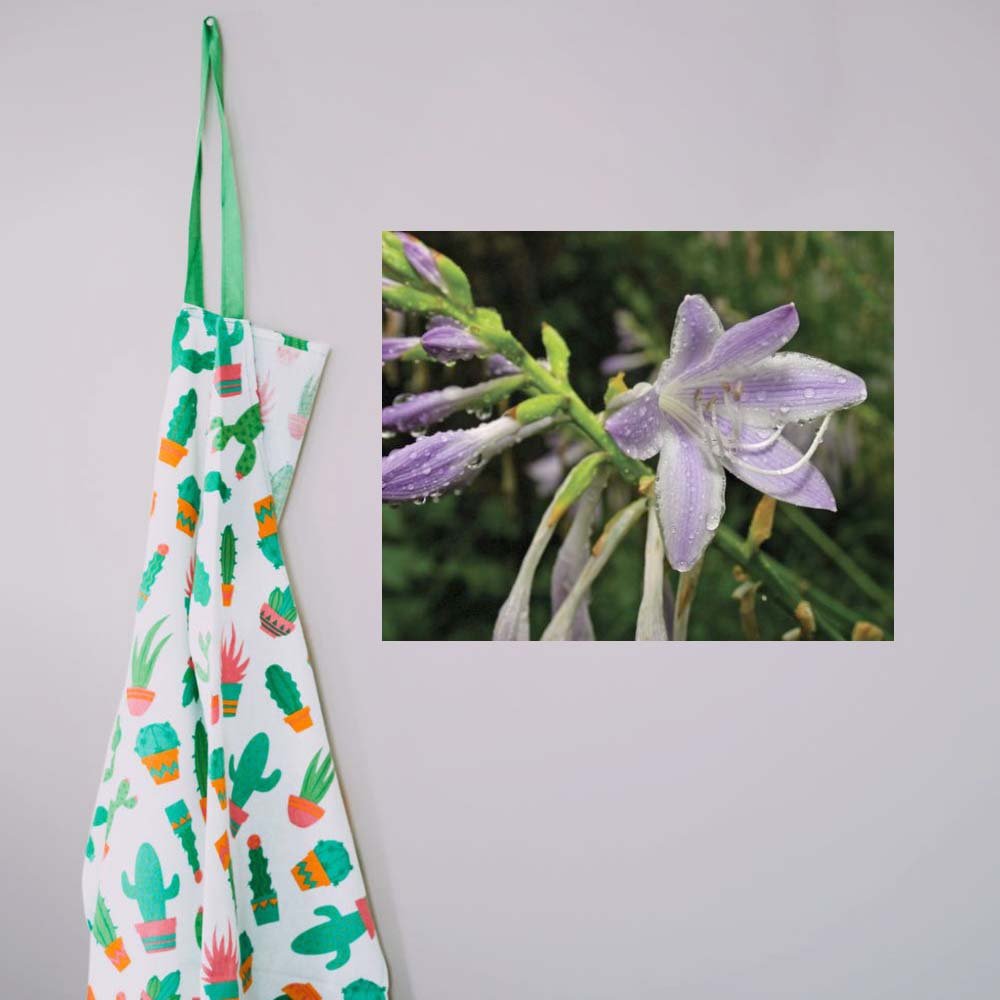 19x24 inch Wet Flower Poster Displayed on Wall