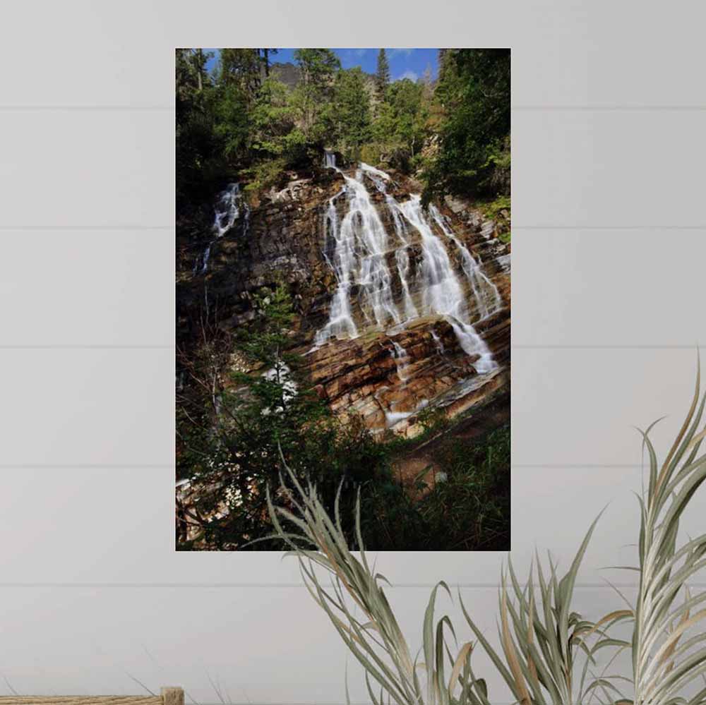 16x24 inch Bertha Falls Poster Displayed Above Plant