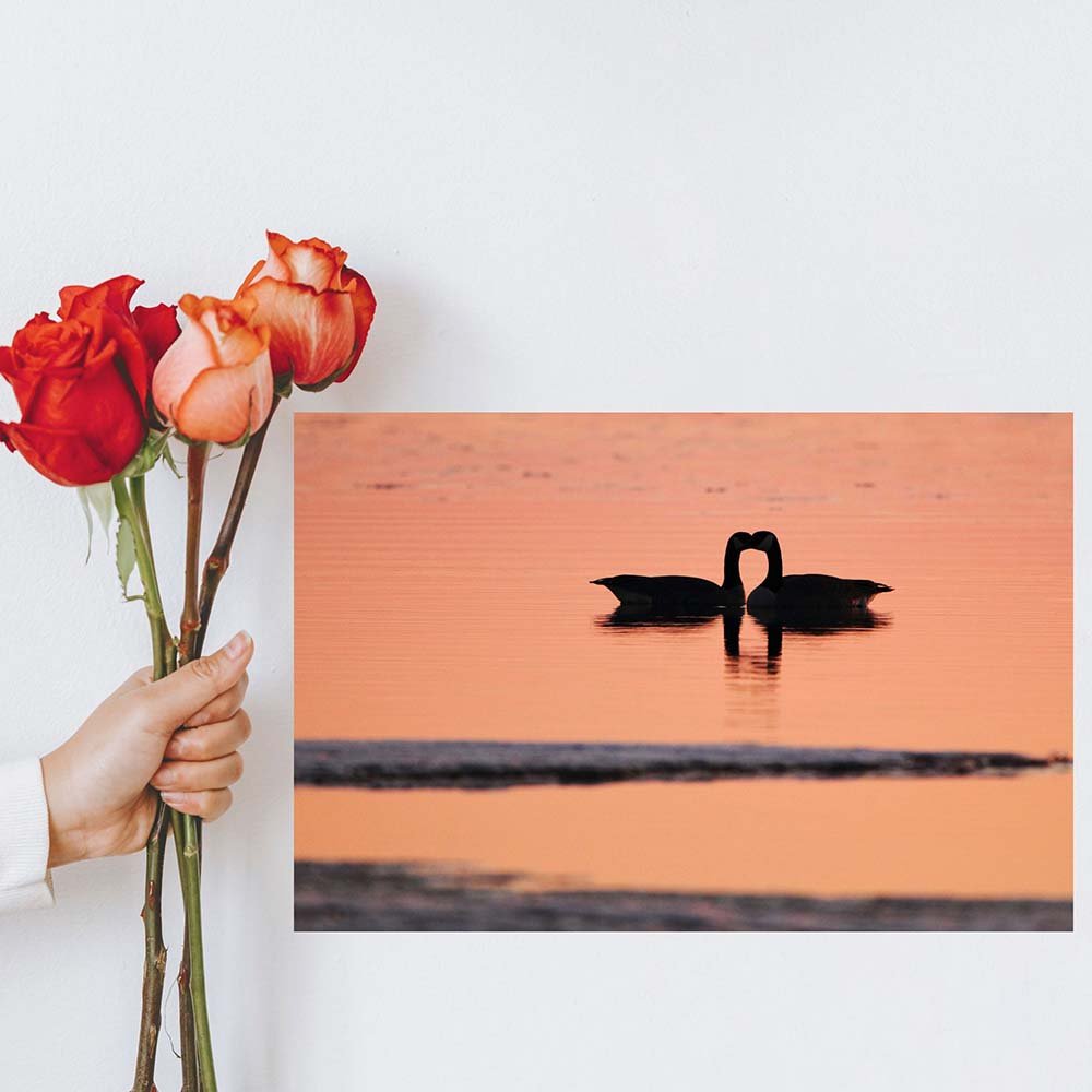 16x24 inch Goose Love Poster Displayed on Wall