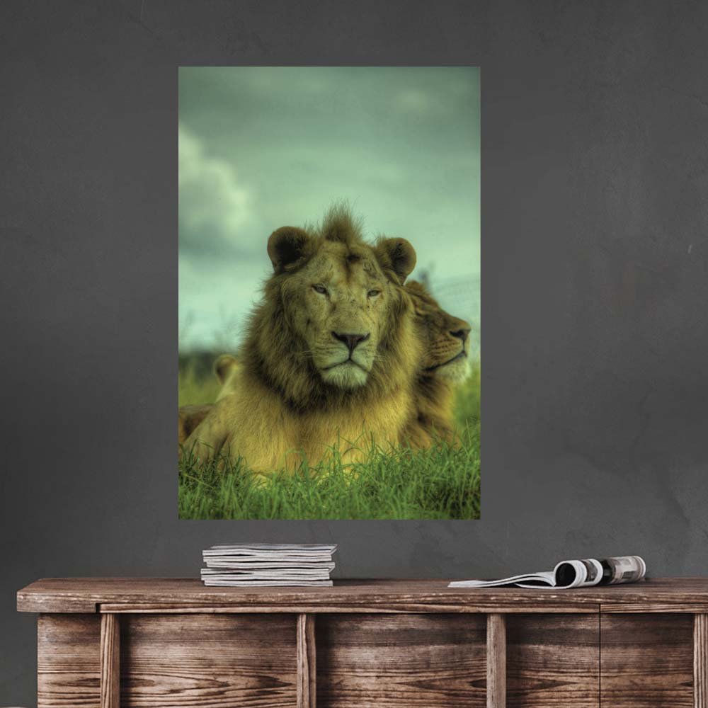 16x24 inch King of the Jungle Poster Displayed Above Table