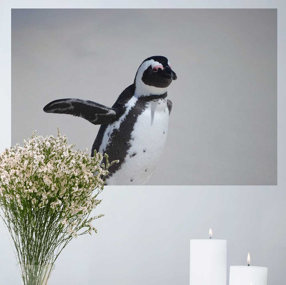 16x24 inch Penguin Waving Poster Displayed by Candles