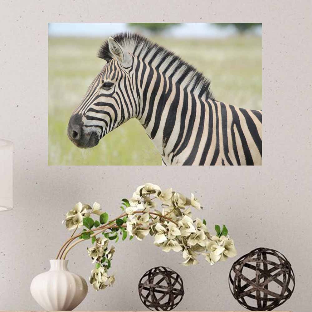 16x24 inch Zebra Profile Poster Displayed on Wall