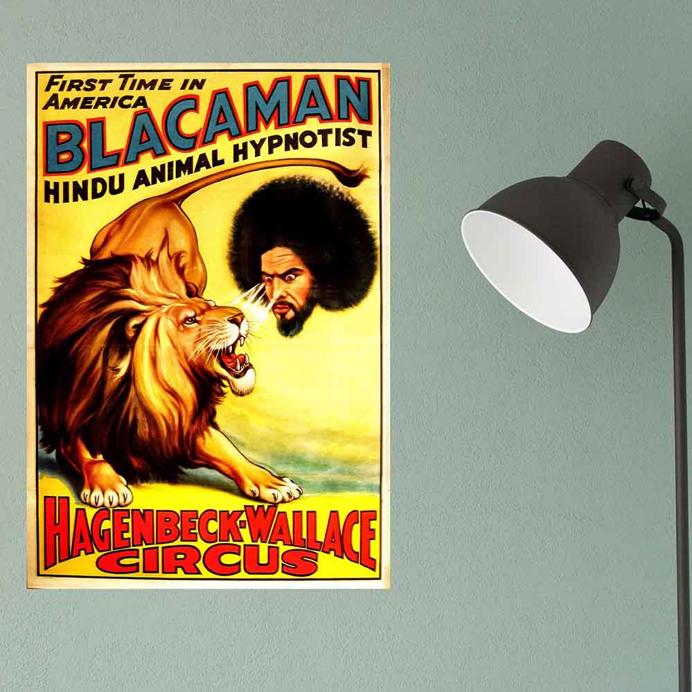 16.5x24 inch Blacaman Poster Displayed on Wall