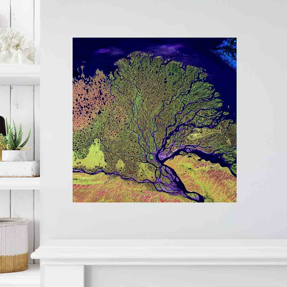 24x24 inch Lena Satellite Decal Installed Above Shelf