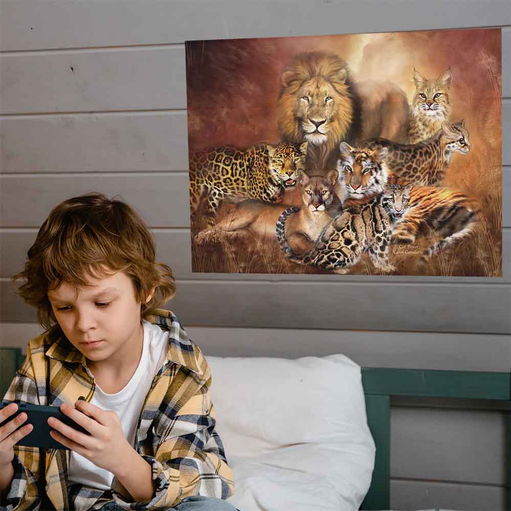 18x24 inch Cat Power Poster Displayed in Boys Room