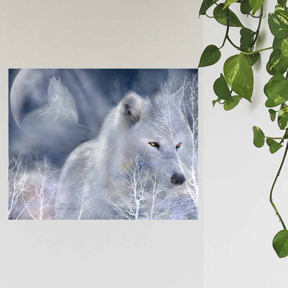 19x24 White Wolf Poster Displayed on Wall