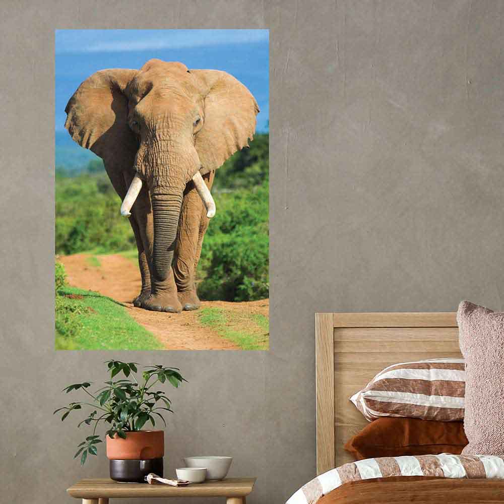 24 inch Elephant Charging Poster Installed Next to Bed